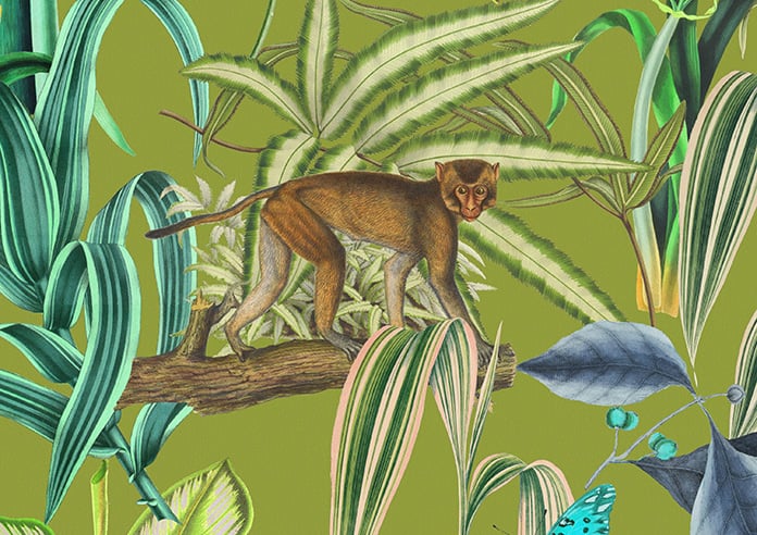 Barbados, Avocado - Motorised Roman Blind - Image 7